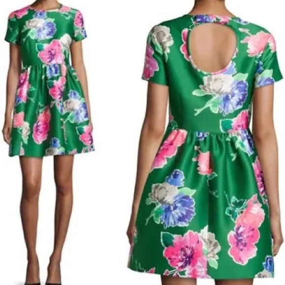 kate spade Dresses & Skirts - Kate Spade Stelli Dress In Full Bloom Lucky Green Floral Fit Flare Puffy 8 $425